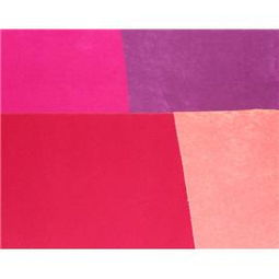 特殊鞋材 東莞市厚街宏龍 龍發 鞋材商行